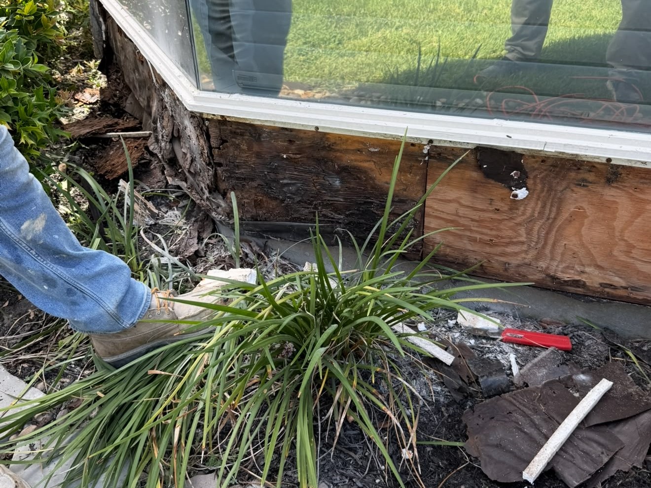 Hidden deterioration exposed beneath a lower exterior window after selective opening